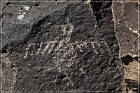 Springerville Petroglyphs