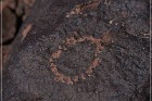 Texas Hill Petroglyphs