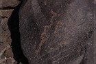 Texas Hill Petroglyphs