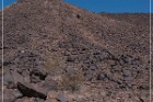 Texas Hill Petroglyphs