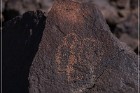 Texas Hill Petroglyphs