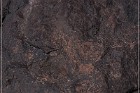 Texas Hill Petroglyphs