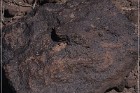 Texas Hill Petroglyphs