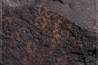 Texas Hill Petroglyphs