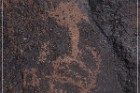 Texas Hill Petroglyphs