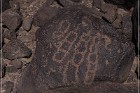 Texas Hill Petroglyphs