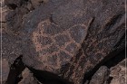 Texas Hill Petroglyphs