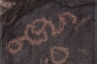 Texas Hill Petroglyphs
