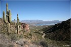 Tonto NM