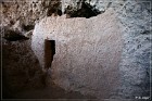 Tonto NM