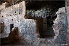 Tonto NM