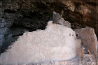 Tonto NM