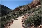 Tonto NM