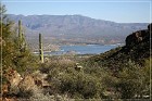 Tonto NM