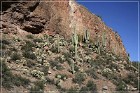 Tonto NM
