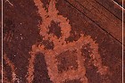 Tutuveni Newspaper Rock