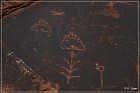 Tutuveni Newspaper Rock