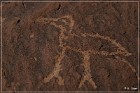Tutuveni Newspaper Rock