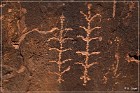 Tutuveni Newspaper Rock