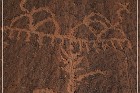 Tutuveni Newspaper Rock