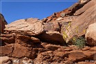 Tutuveni Newspaper Rock