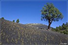Sunset Crater NM