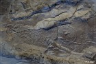 Castle Garden Petroglyphs
