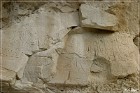 Castle Garden Petroglyphs