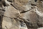 Castle Garden Petroglyphs