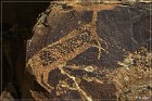 Legend Rock Petroglyph Site