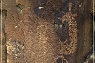 Legend Rock Petroglyph Site
