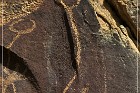 Legend Rock Petroglyph Site