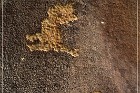 Legend Rock Petroglyph Site