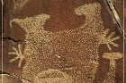 Legend Rock Petroglyph Site