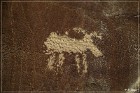 Legend Rock Petroglyph Site