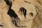 White Mountain Petroglyphs