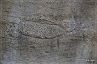 White Mountain Petroglyphs