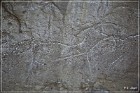 White Mountain Petroglyphs