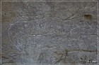 White Mountain Petroglyphs