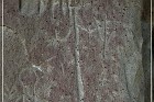 White Mountain Petroglyphs