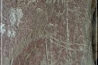 White Mountain Petroglyphs