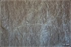 White Mountain Petroglyphs