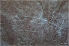 White Mountain Petroglyphs