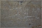 White Mountain Petroglyphs