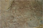 White Mountain Petroglyphs