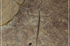 White Mountain Petroglyphs