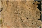 White Mountain Petroglyphs