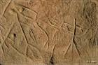 White Mountain Petroglyphs