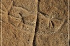 White Mountain Petroglyphs