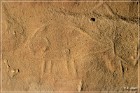 White Mountain Petroglyphs